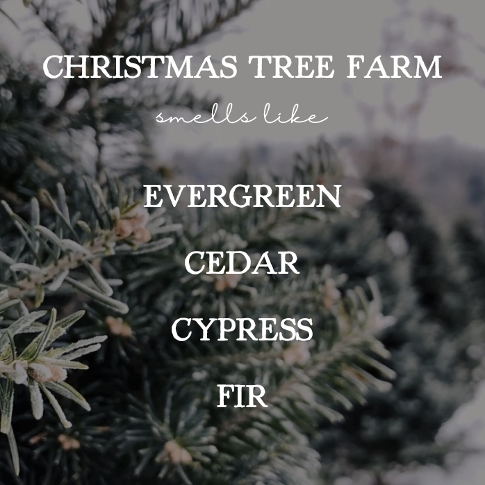 Christmas Tree Farm - 22oz Double Wick Soy Candle