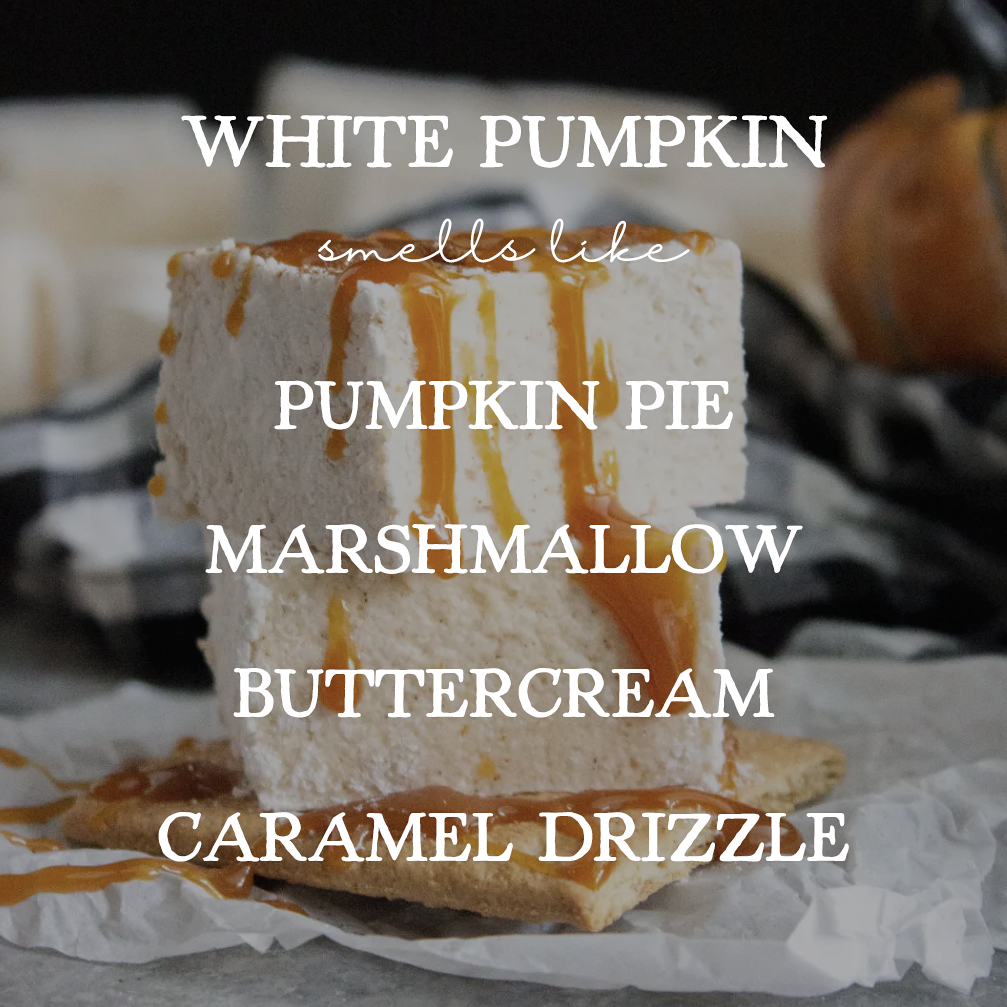 White Pumpkin - 22oz Double Wick Soy Candle